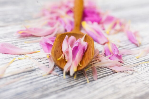 Photo spring peonies blossom on wooden spoon