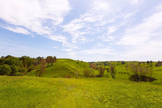 Spring photography, meadows, fields, ravines, hills, rural landscape. A deep, narrow gorge with steep slopes. A naturally raised area of land, not as high or craggy as a mountain.