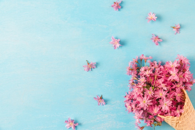 Spring pink cherry blossoming flowers in waffle cone. flat lay. top view with copy space