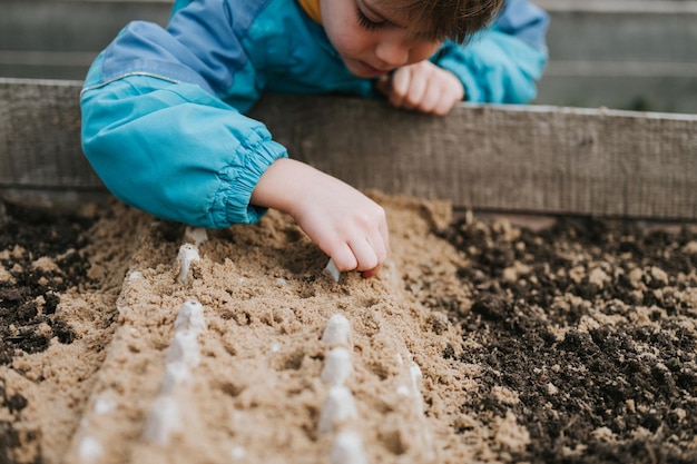 Spring planting seeding in farm garden little six year old kid boy farmer gardener plants and sow vegetable seeds in soil in bed gardening and beginning summer season in countryside village