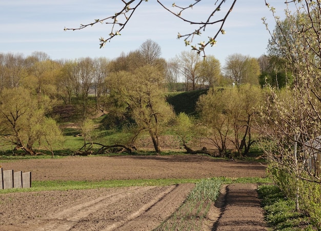 Spring plowed field with earth on neat flowerbeds