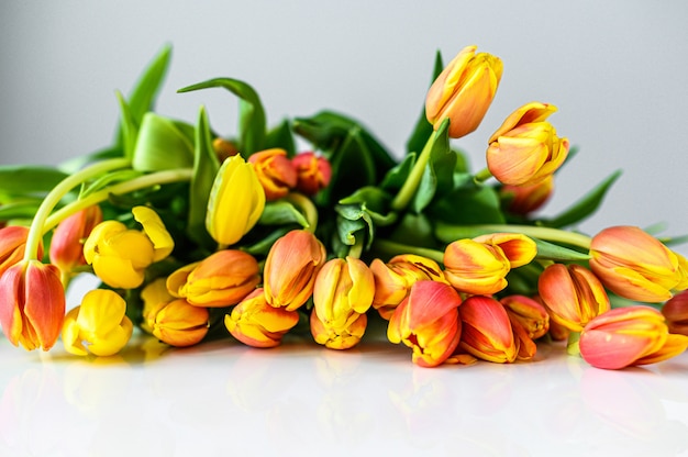 Spring - poster with free text space. yellow, orange and red Tulips. White background. Top view