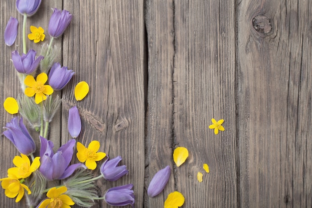 Spring purple and yellow  flowers on old wooden background