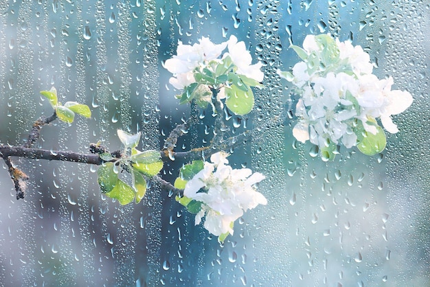 spring rain abstract flowers background