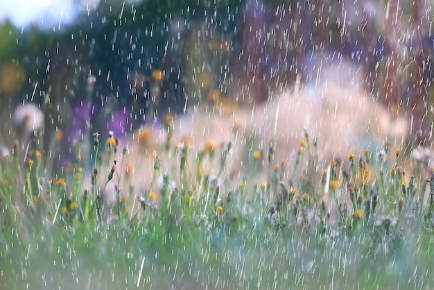 春の雨の抽象的な花の背景