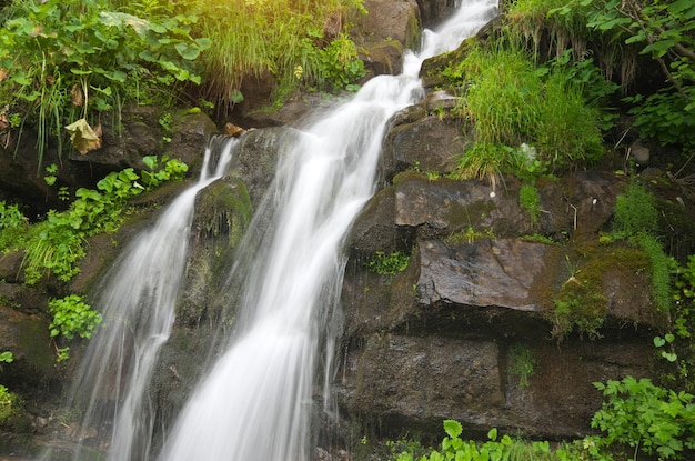 Spring rill flow in mountain