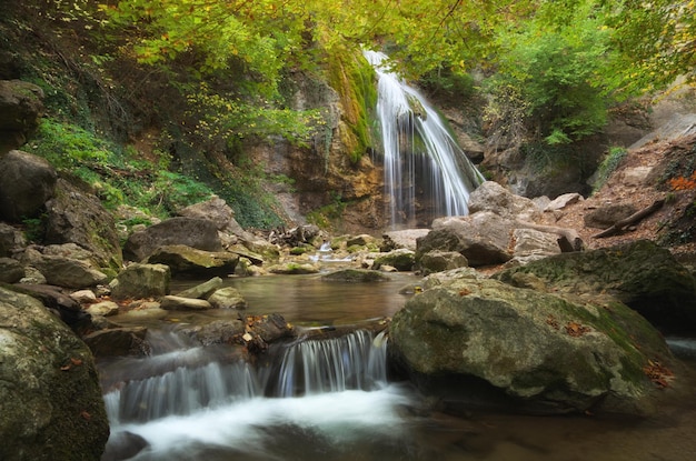 Spring rill flow Nature composition