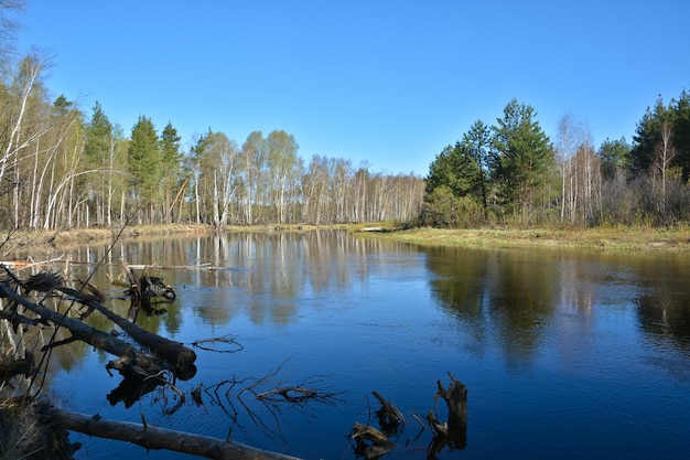 Spring river landscape