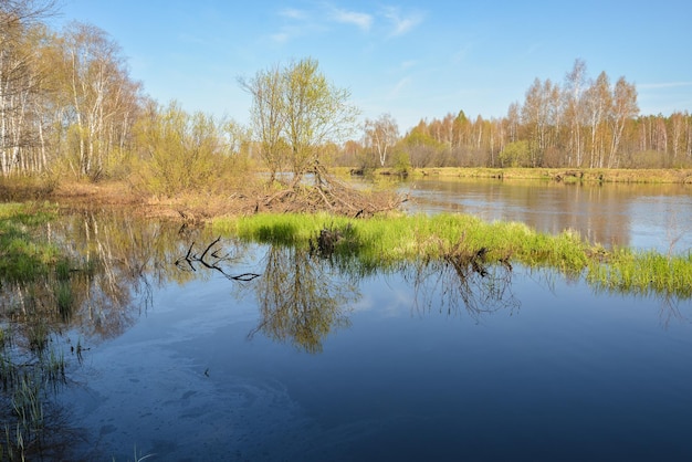 Spring river in the national Park Meshersky Ryazan region