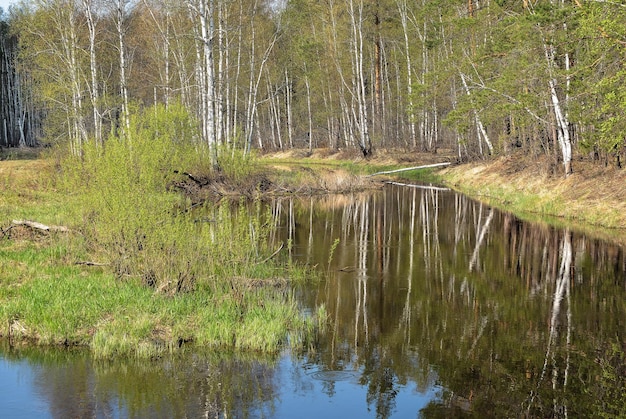 ロシアのリャザン地域の春の川