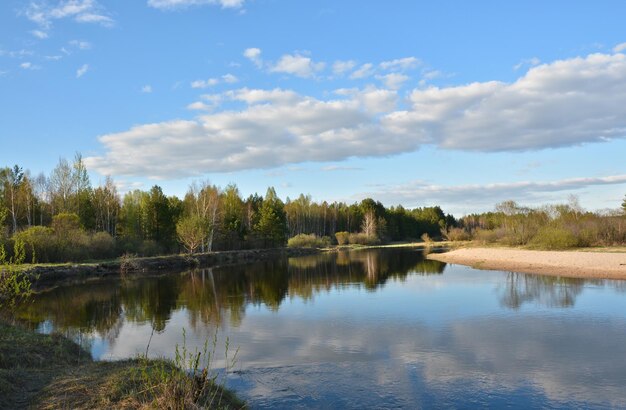 Spring on the river