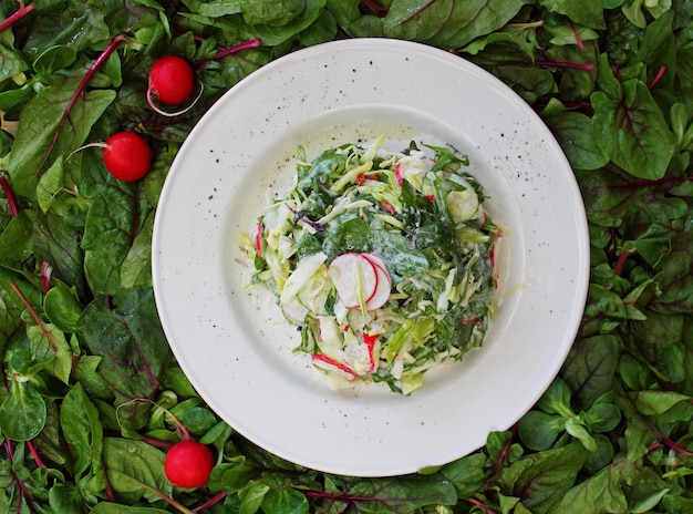 Spring salad of radish and green eggs