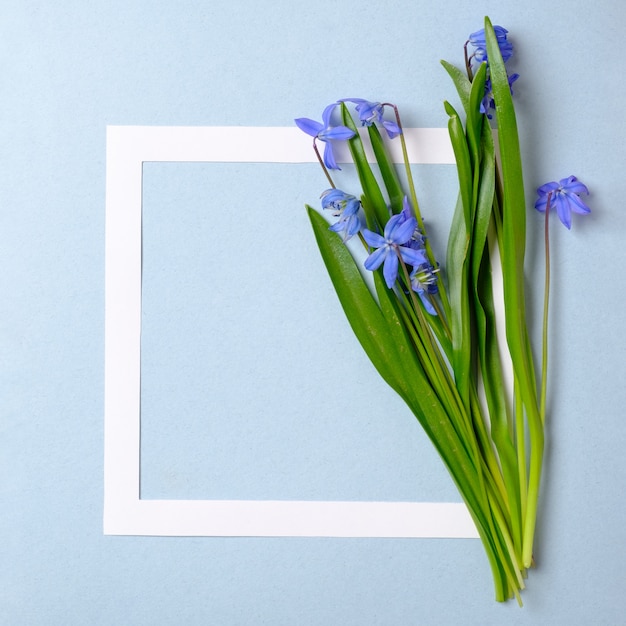 Foto sfondo di vendita di primavera con bel fiore e bordo cornice.