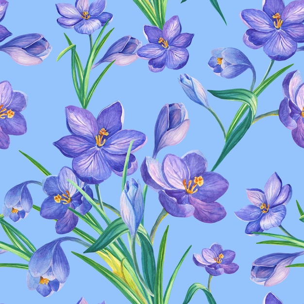 Spring seamless pattern with crocuses.