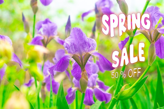 spring season sale text can be used for web banners wallpaper flyers voucher discount