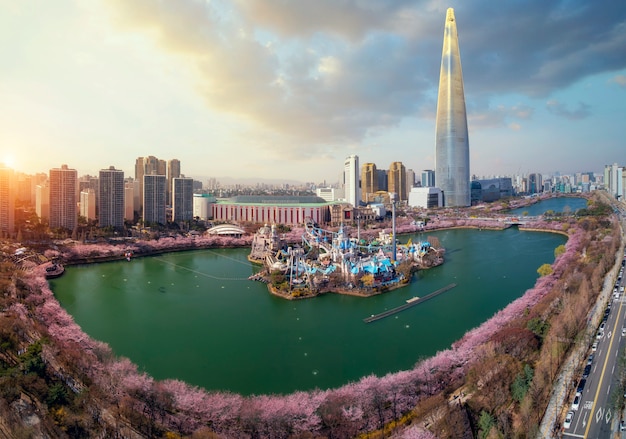 Spring season in seoul city with cherry blossom full blooming in the park