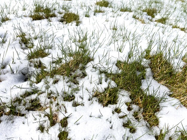 Spring snow melting on suburban landscaping gravel and grass