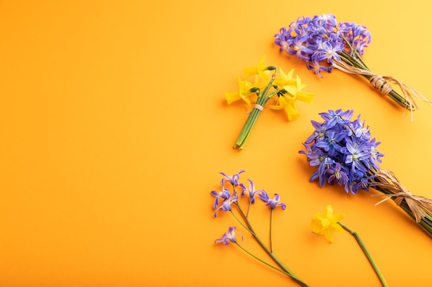 오렌지 파스텔 배경 측면보기 복사 공간에 봄 헌병 꽃 bluebells 수선화