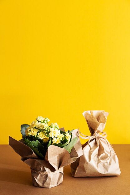 Spring still life bouquet of kalanchoe yellow flowers craft paper bag with a gift