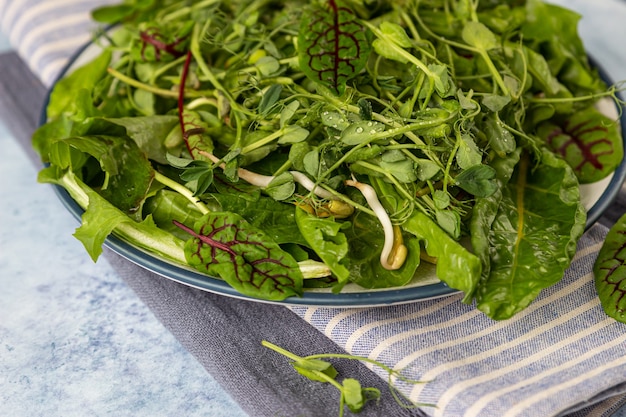 Весенний или летний детокс зеленый микс салат с микрозеленью на тарелке