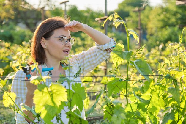 Spring summer garden work in vineyard