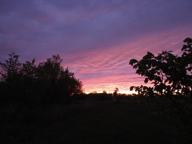 spring sunset