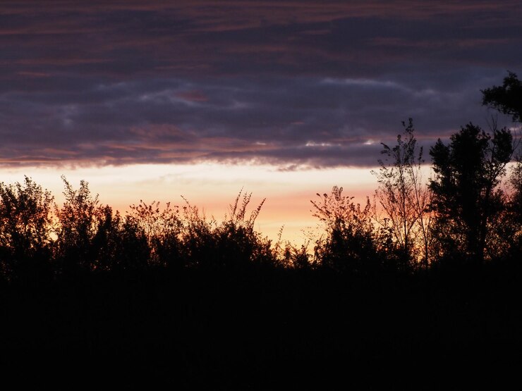 Photo spring sunset