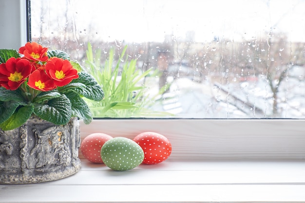 Spring surface with red primrose flowers in pot and Easter eggs on the window with raindrops, space