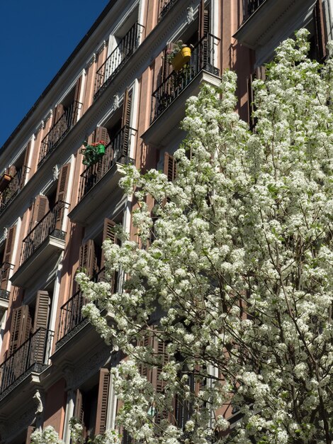 Foto orario primaverile a madrid