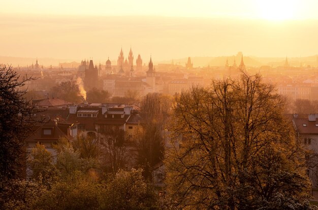 Spring Time At Prague Czech Republic