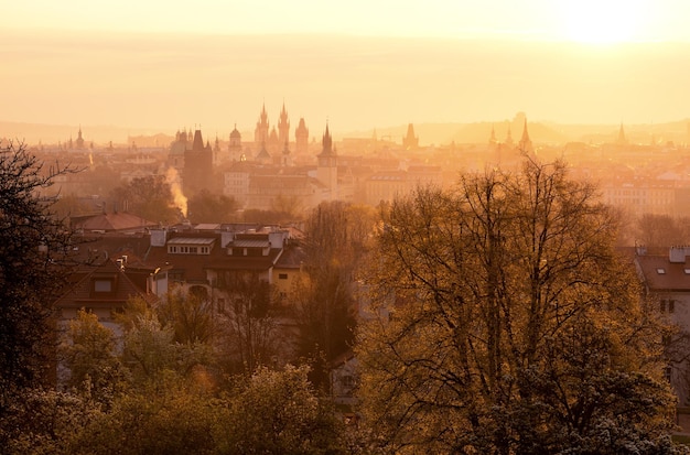 Photo spring time at prague czech republic