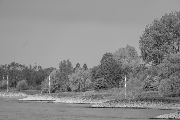 spring time at the rhine river