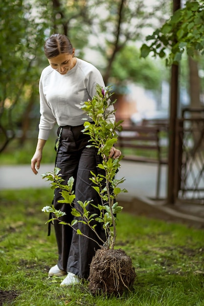 사진 봄 나무 심기 한 여자 는 자기  에 마그놀리아 나무 를 심고 싶어 한다