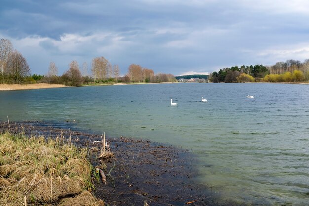 青い空を背景に、春の木々が湖に映っています。自然の目覚め。高品質の写真