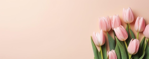Photo spring tulip flowers on beige background top view in flat lay style ar 52 v 52 job id 19a3978aa5e543758b6396ff2bcea59f
