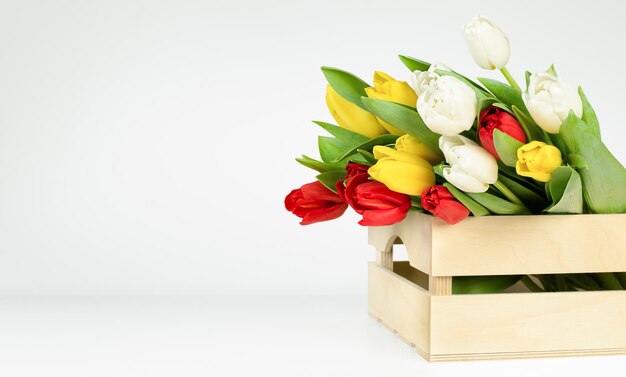 Spring tulips in a crate on a light background