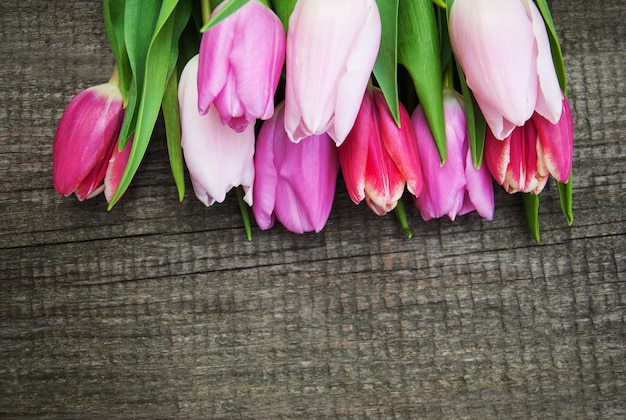 Spring tulips flowers