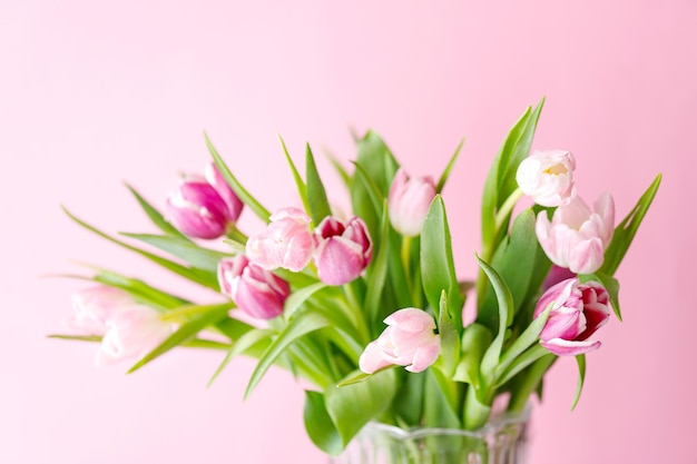 Tulipani primaverili su sfondo rosa biglietto di auguri per la festa della mamma