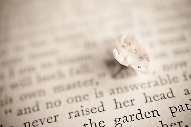 spring twig with white apple blossoms on the book