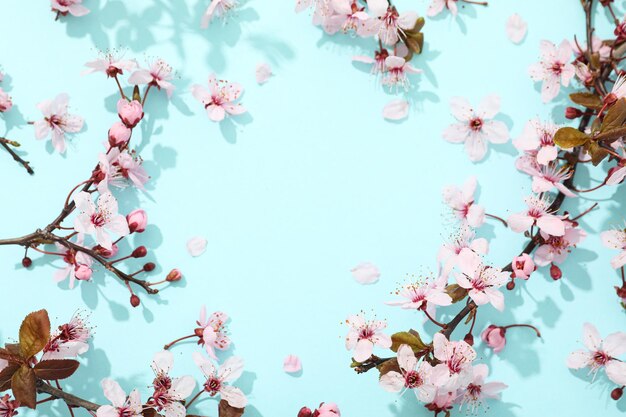 Spring twigs with flowers on a blue background