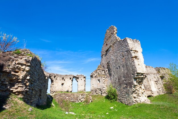 Spring view of Castle ruins (Sydoriv village, Ternopil region, Ukraine).