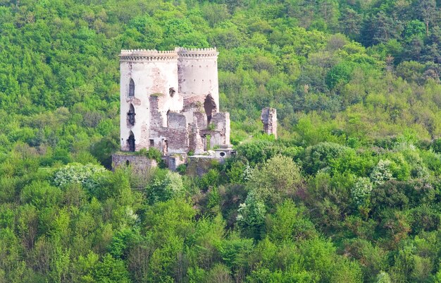 Spring view of Chervonohorod Castle  ruins