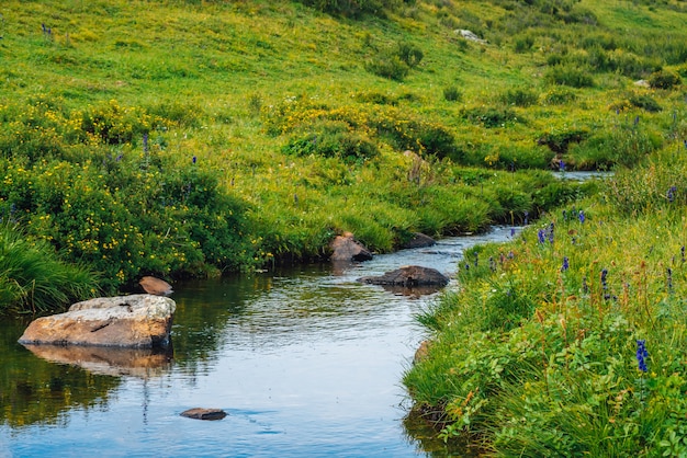 Spring water stream in green valley in sunny day. 