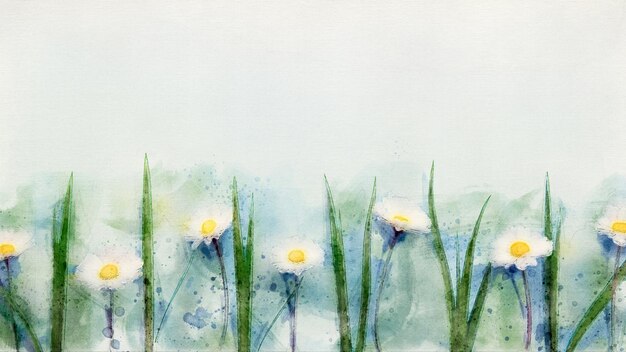 Spring watercolor flowers background with daisies and grass copy space