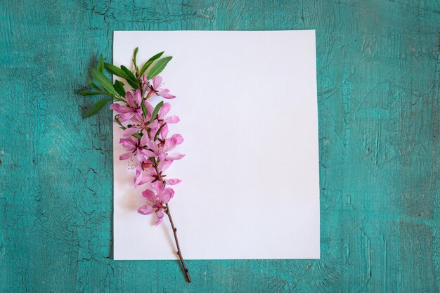 Spring white background round frame with blue flowers muscari or grape hyacinths