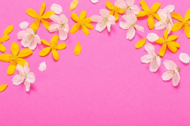 Spring white and yellow flowers on pink paper background