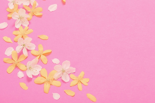 ピンクの紙の表面に春の白と黄色の花