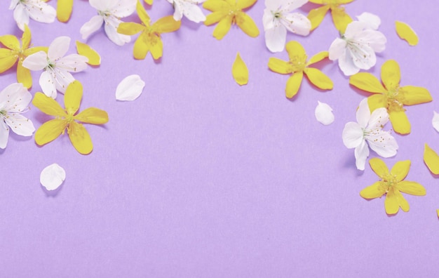 Spring white and yellow flowers on purple background