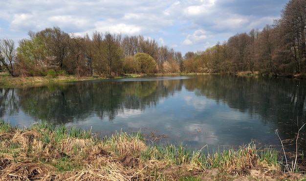 Spring wood lake with trees and bushes Reflection of clouds and trees in the lake