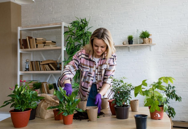 春の作業室のケア観葉植物の放棄春に向けて屋内植物を目覚めさせる女性が自宅で新しい鉢に植物を移植する庭師の移植植物選択的な焦点